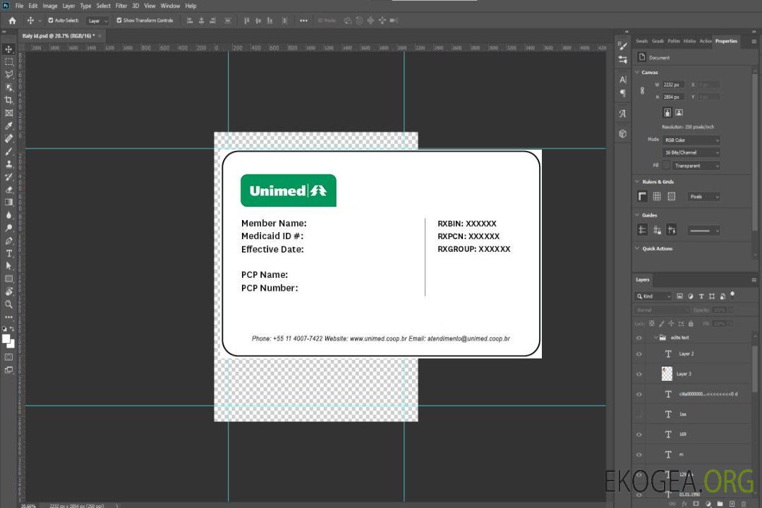Carte d'assurance maladie du Brésil template